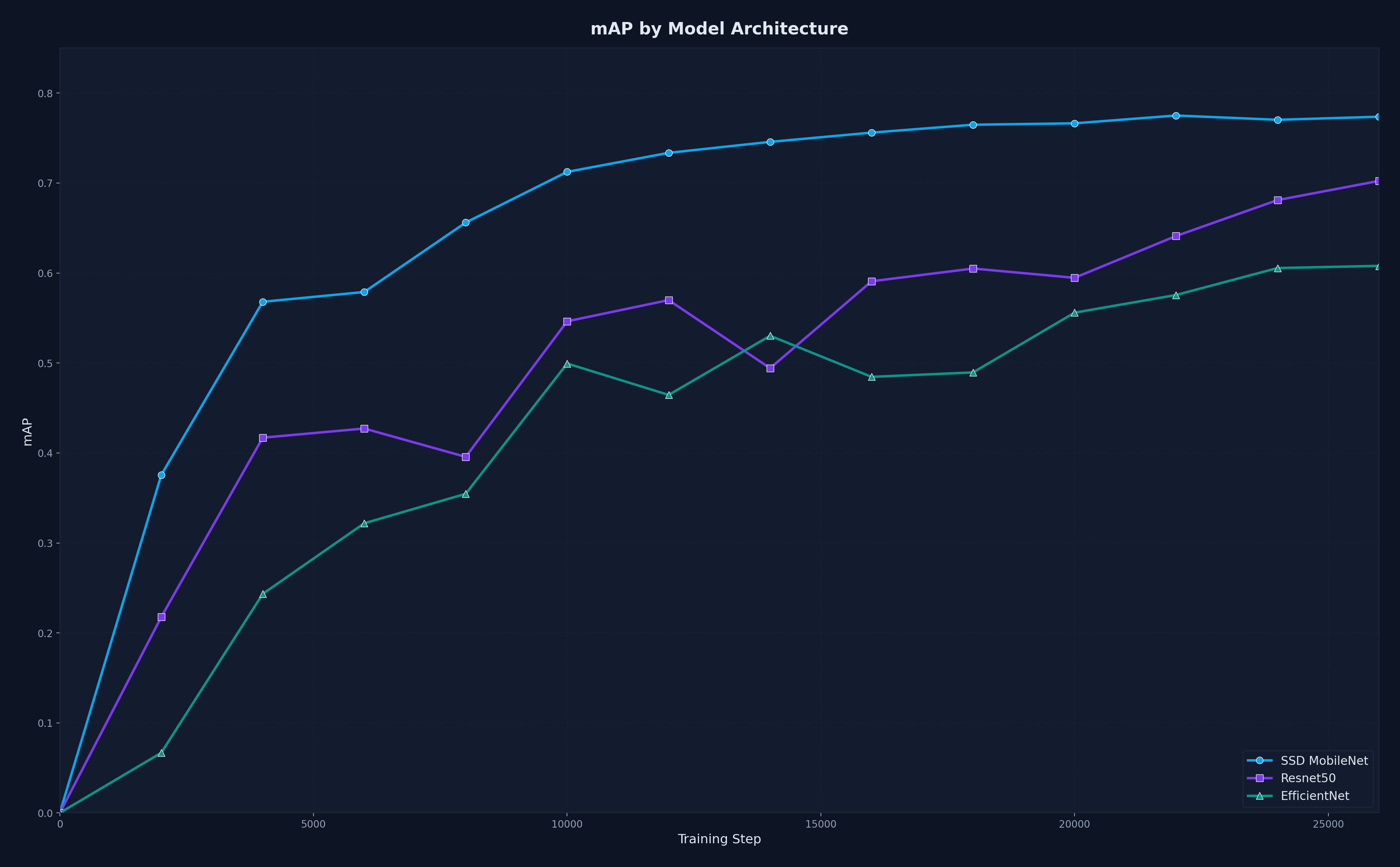 mAP curves across training runs